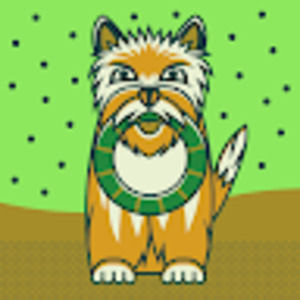 Meet your Posher, Shell